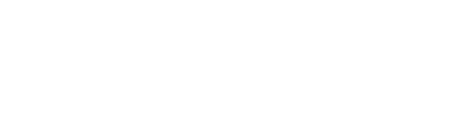 REALM Capital Fund logo